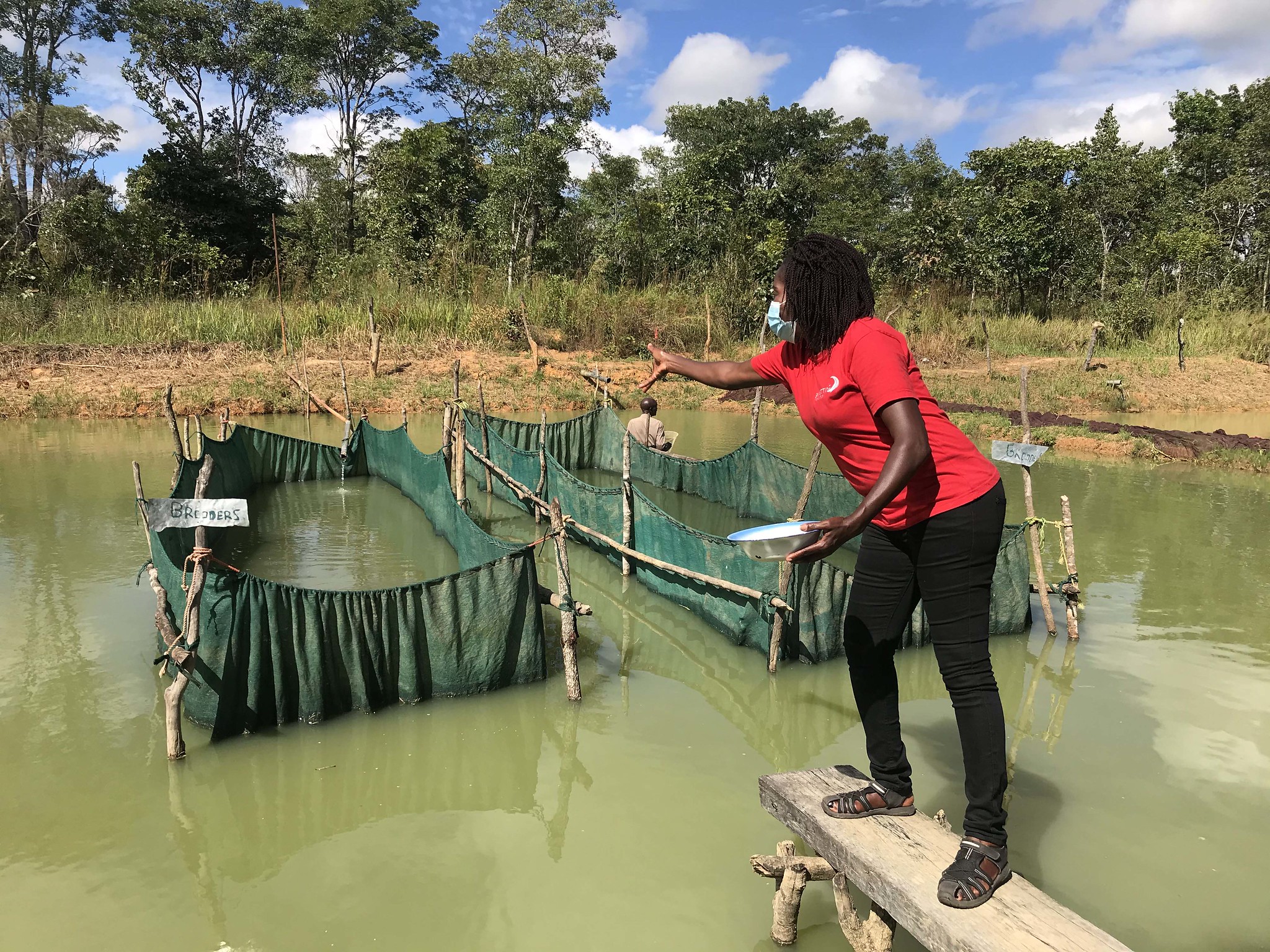 Developing sustainable aquatic feeds for resilient aquatic food systems in SubSaharan Africa